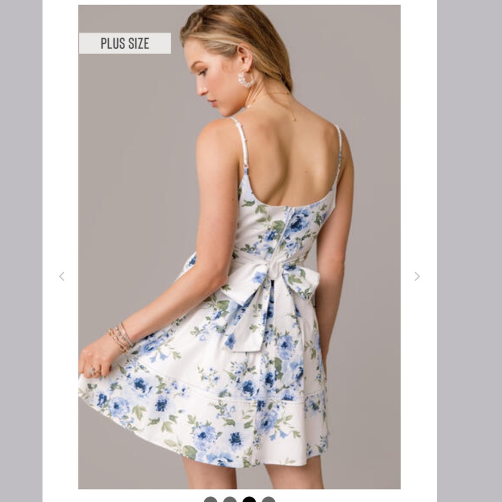 Caroline fit and flare mini dress, plus size, white with blue flowers, NWT